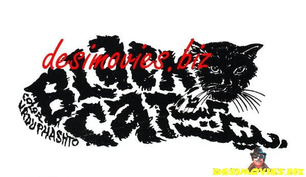 Black Cat (1977) Original Booklet & Advert - Image 5