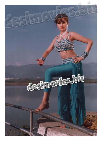 Dedaar (2000-2015) Lollywood Star
