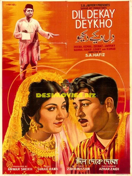 Dil Dekay Dekho (1969) Original Poster