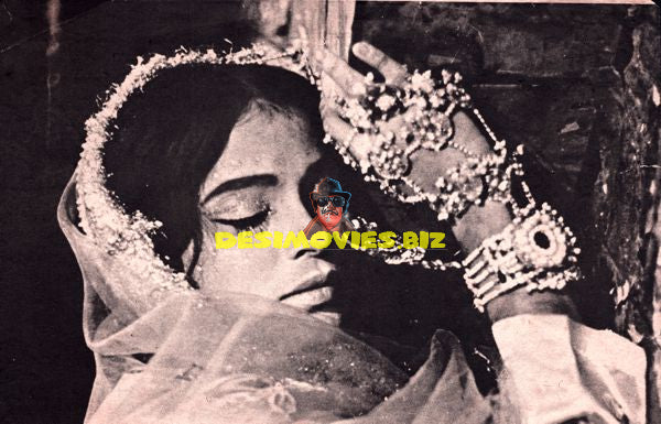 Lollywood Stars
