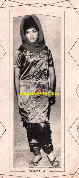Lollywood Stars