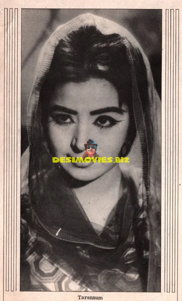 Lollywood Stars