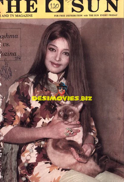Lollywood Stars
