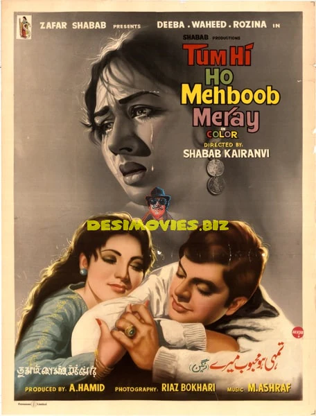 Tum Hi Ho Mehboob Mere (1969) Poster