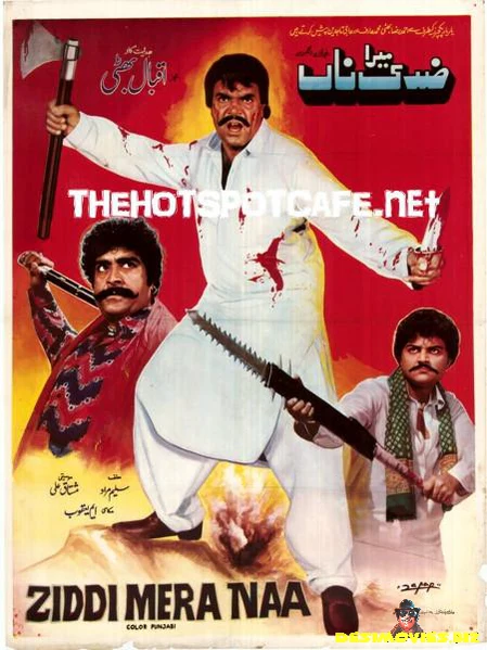 Ziddi Mera Naa (1991)
